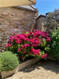 maison-villa à la vente